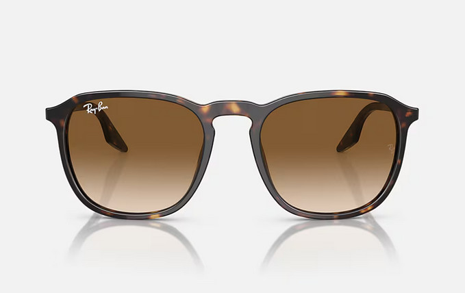 Ray-Ban Sunglasses RB2203 902/51 52mm Tortoise Havana/Light Brown Lens NEW