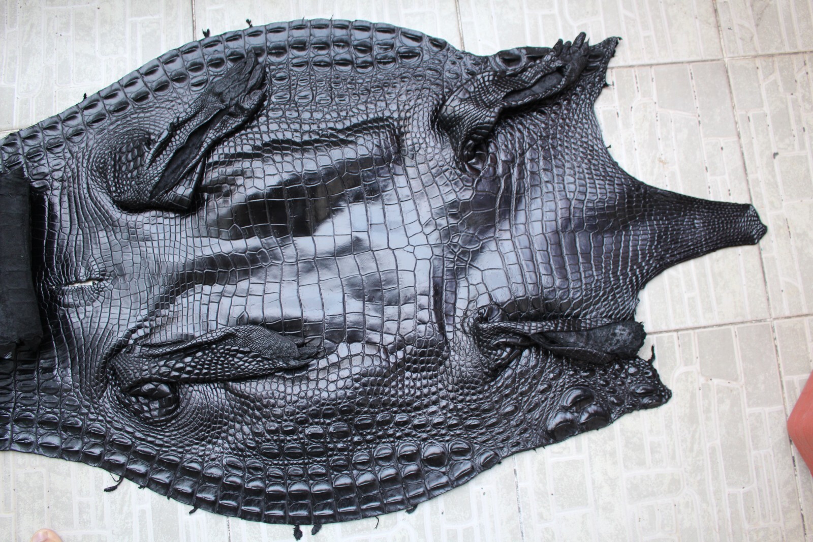 W1.3 inch Black Genuine Crocodile Hornback Leather Skin Men’s Belt Buckle #F26