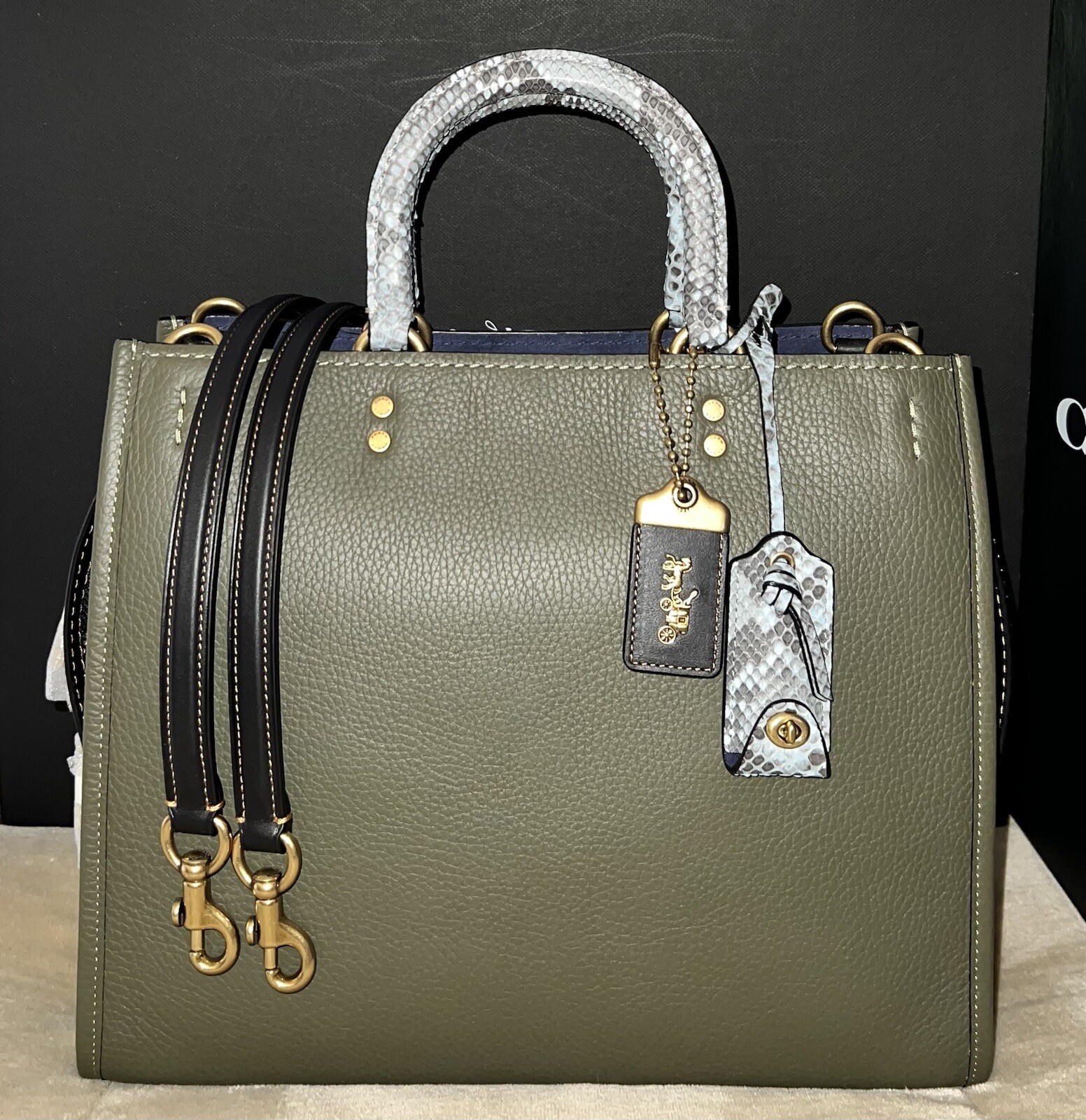 Coach 1941 MTO Rogue Bag In Colorblock With Snakeskin Detail, Style 59997, NWT!