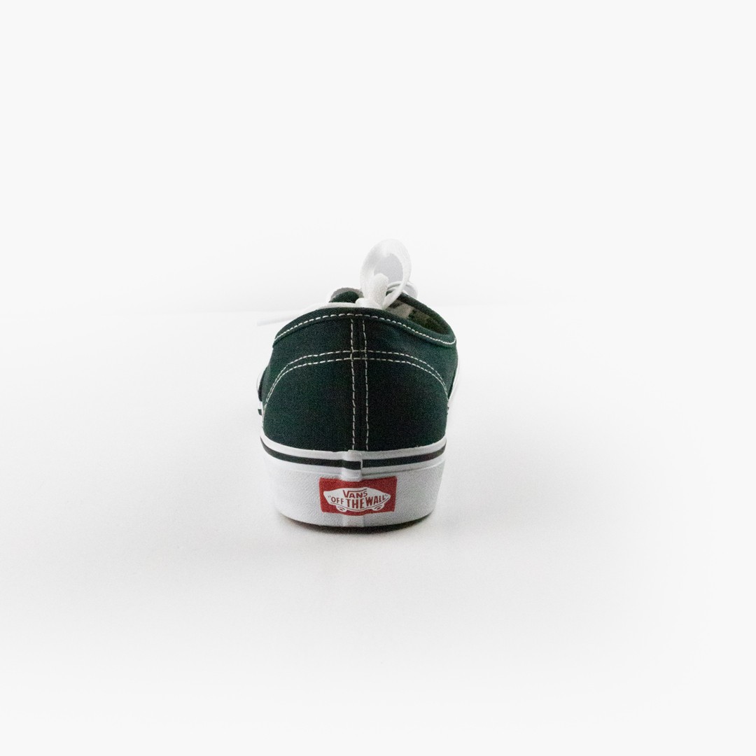 Vans Authentic Color Theory Shoes Scarab