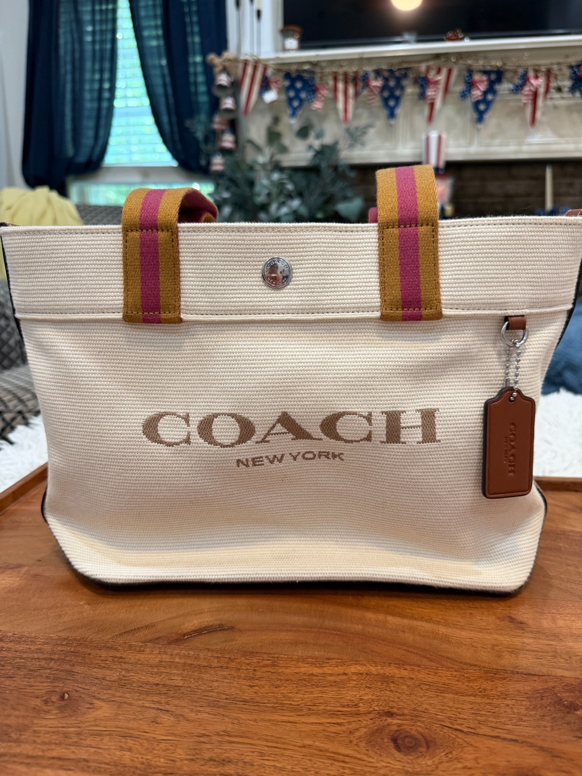 Coach Small Canvas Tote (Style CK168)