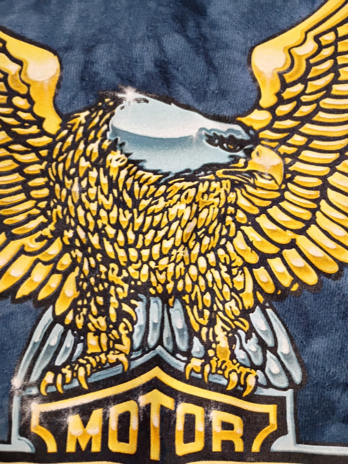 Men’s Y2K Vintage Harley-Davidson Water Tie Dye Bronze Eagle Graphic Boston Mass