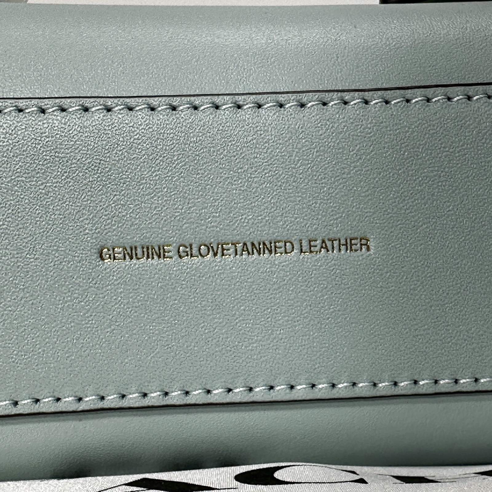 Coach Swing Zip Bag 20 in Light Blue Glovetanned Leather CAM45 NWT