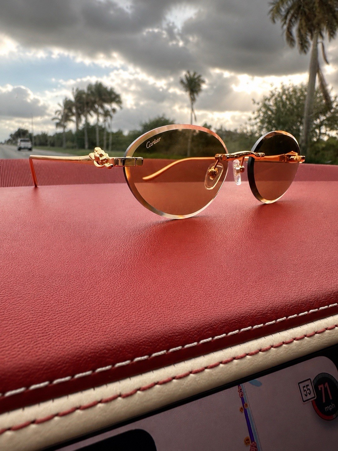 Authentic Cartier Gold Panthère Classic 58MM Oval Sunglasses