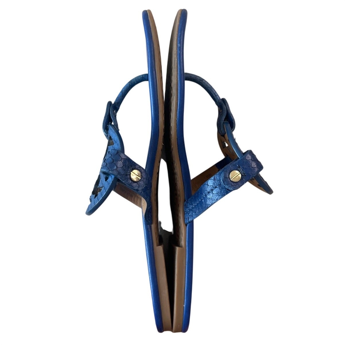Tory Burch Miller Laguna Blue Snake Embossed Sandals Size 7.5