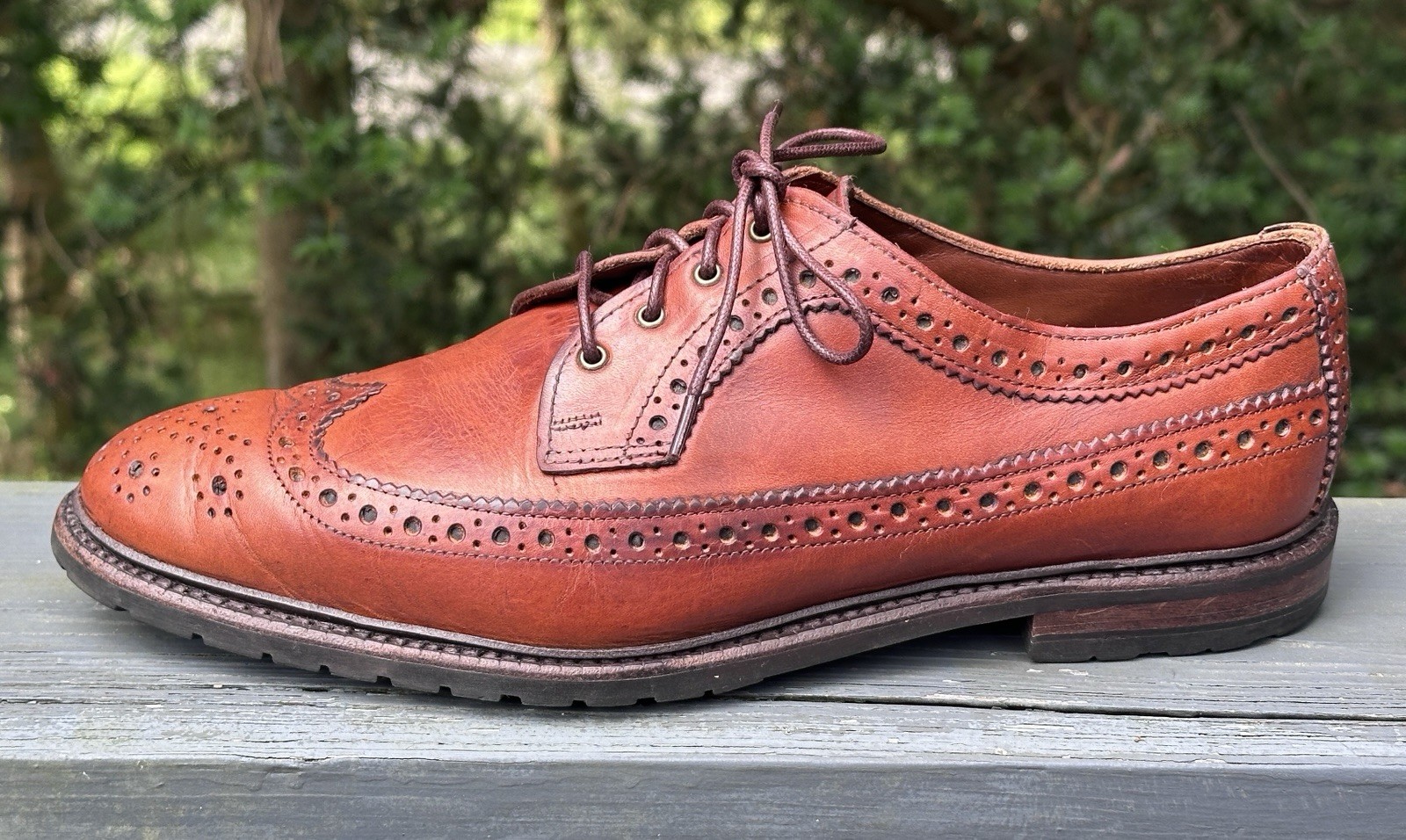 Allen Edmonds Aberdeen Brown Leather Wingtip Brogue Longwing Oxford 10.5D
