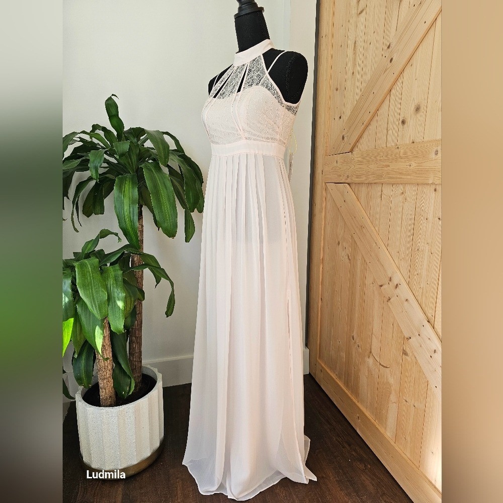 BCBGeneration Size 4 Woman’s Blush Pink With Lace Detail Long Dress