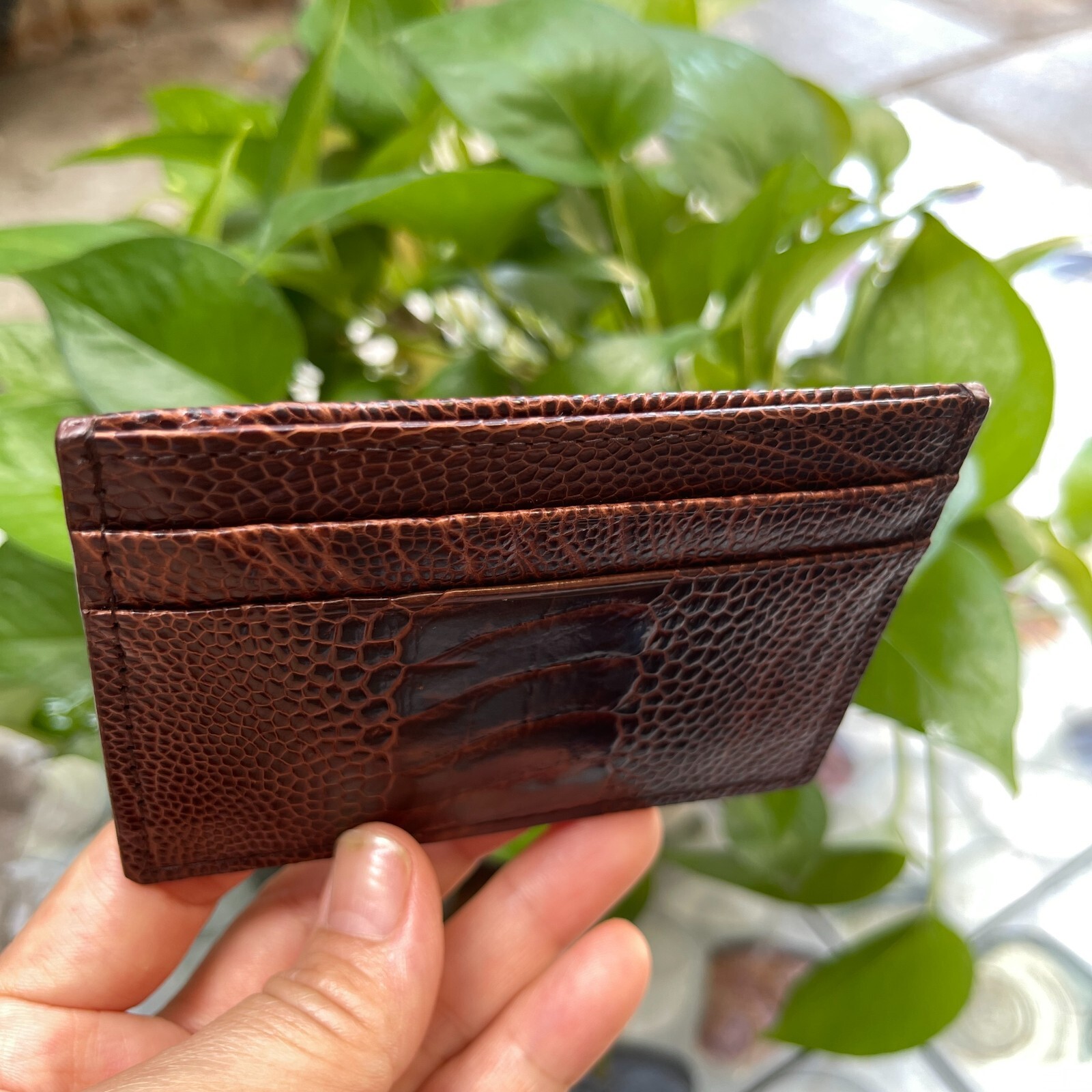 BrownGENUINE OSTRICH LEATHER SKIN CREDIT CARD HOLDER/ WALLET CARD HOLDER FOR MEN