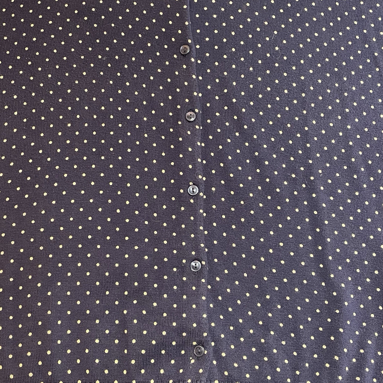 LL Bean Soft Blue Poke a Dot 100% Cotton Cardigan Sweater Size 3XL