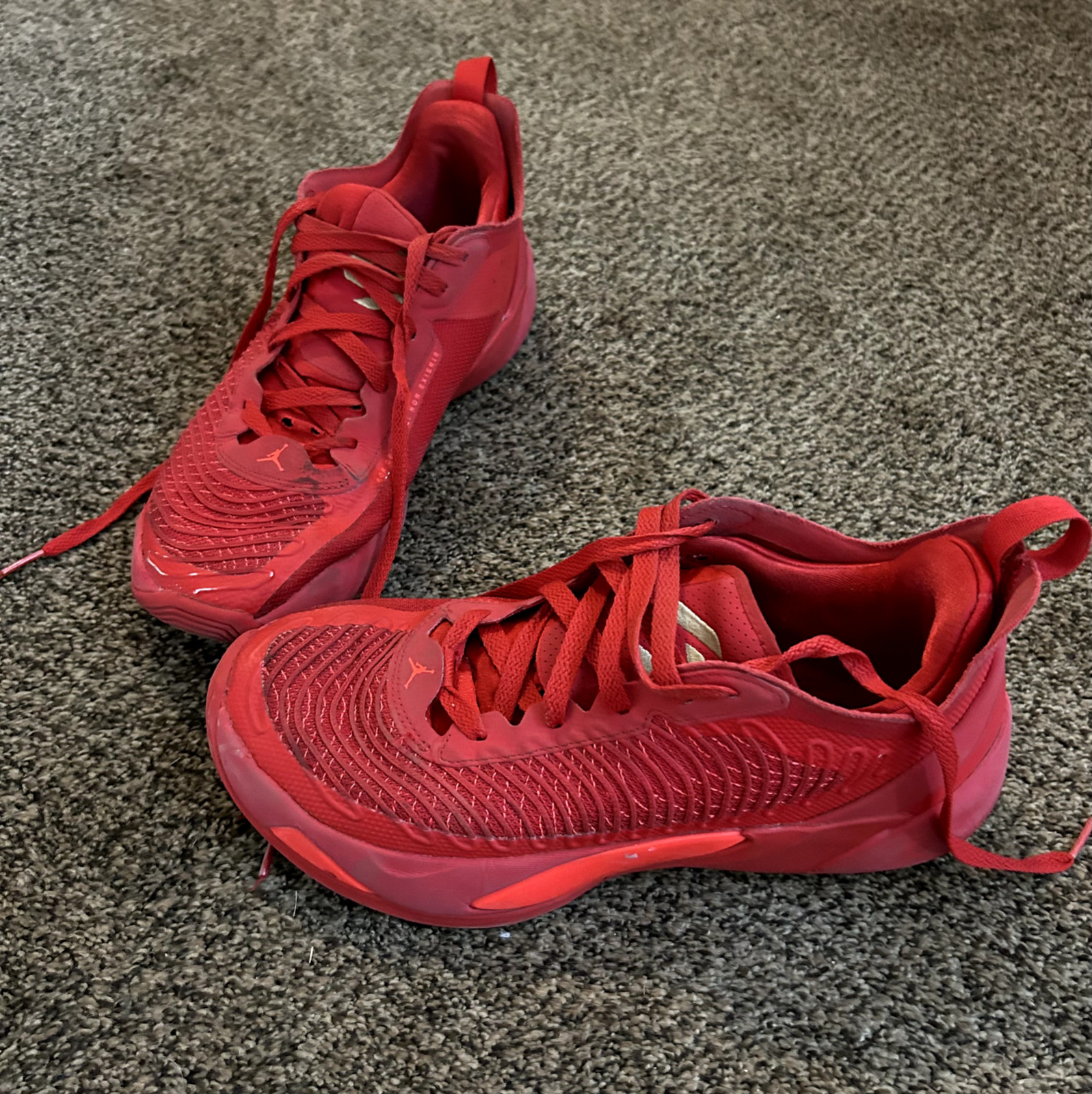 Size 10 – Jordan Luka 1 For the Love
