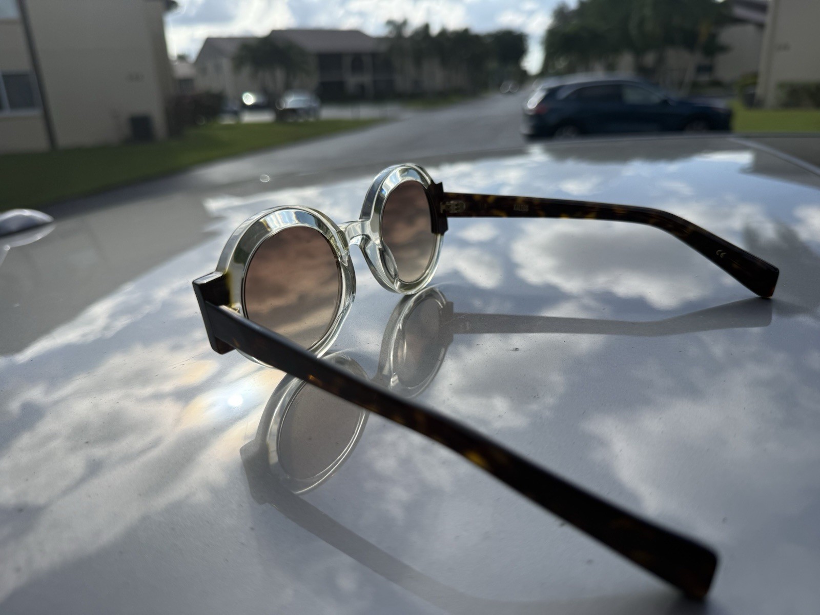 Kaleos Cappa Sunglasses 48@27 C-002 Designer Peterson