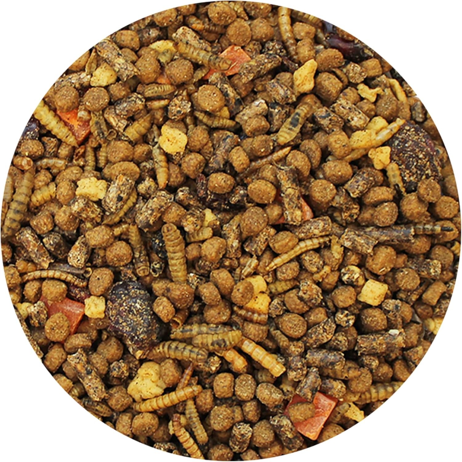 Opossum Complete 4 LB | Nutritional Healthy Pellet Diet | Food for Short-Tailed