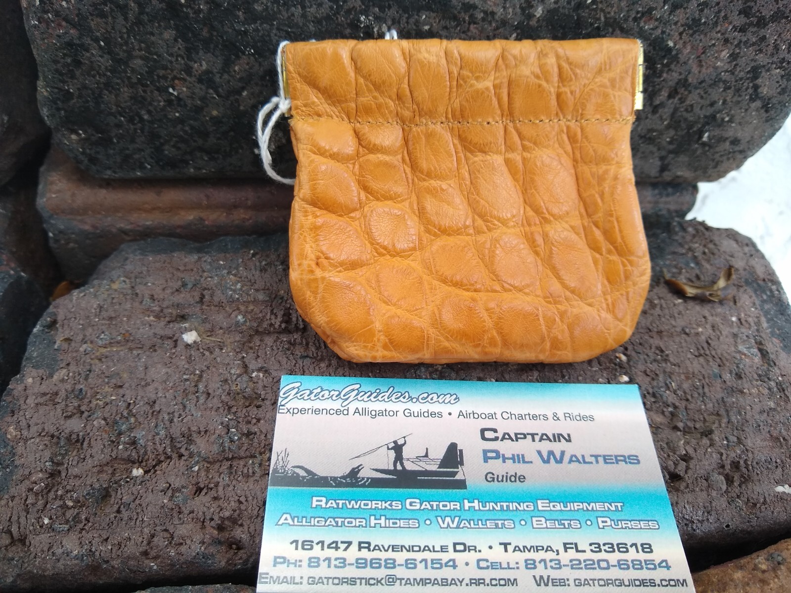 Wild Alligator Leather Coin Purse bag Squeeze gator croc hide skin SP26