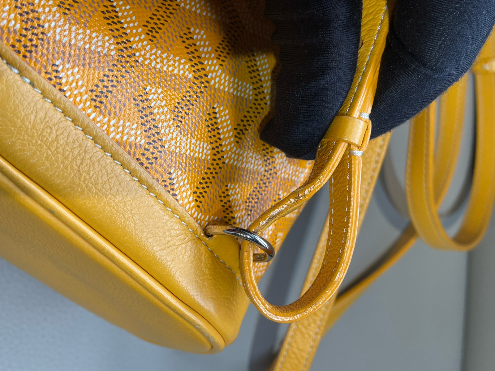 Goyard Alpin Mini Canvas Backpack（ 23×9.5×19 ）cm