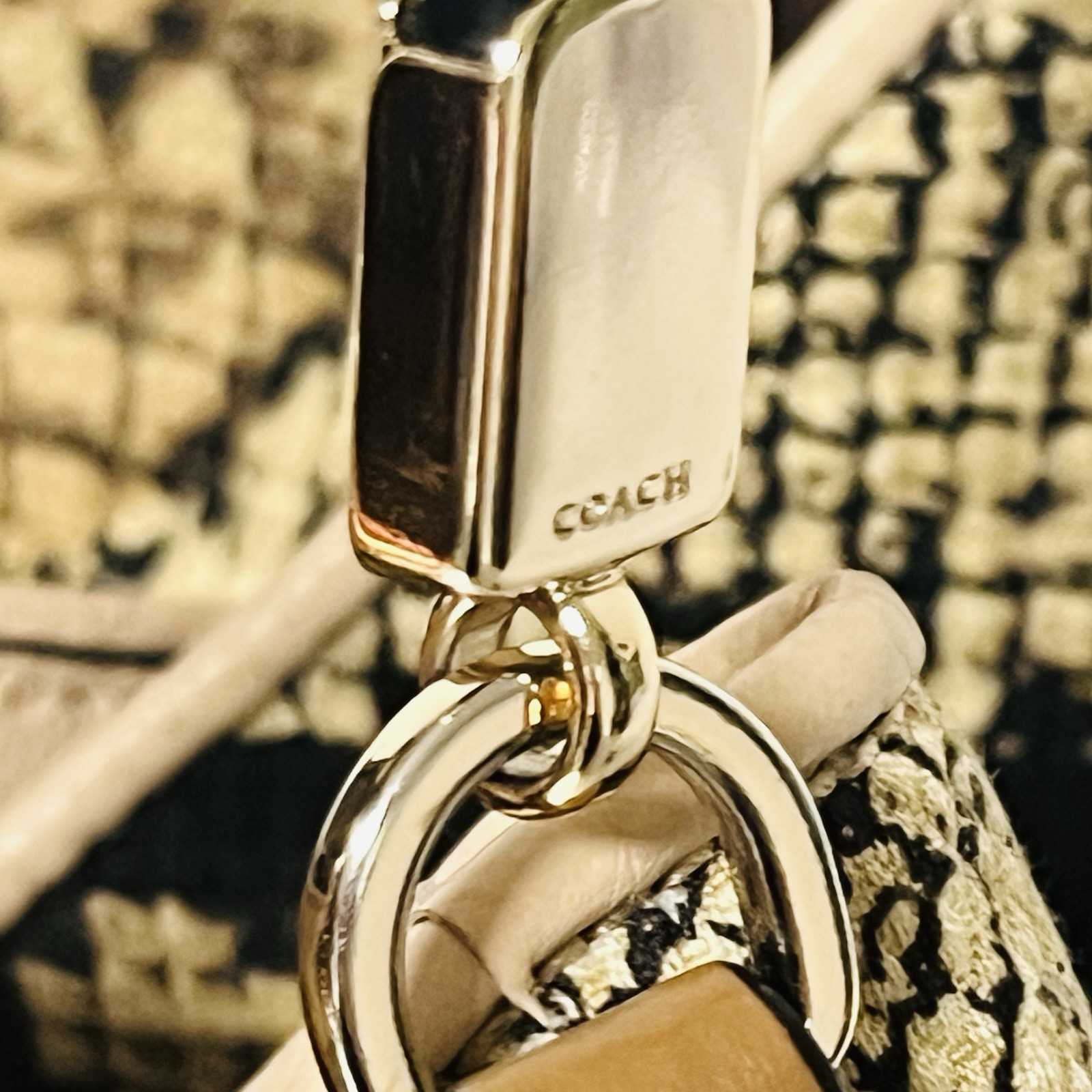Coach Madison Python Printed Phoebe Shoulder Bag 31502 with Dust Bag