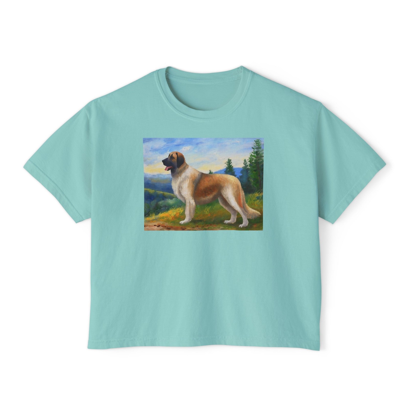 Anatolian Shepherd Women’s Oversized Boxy Tee
