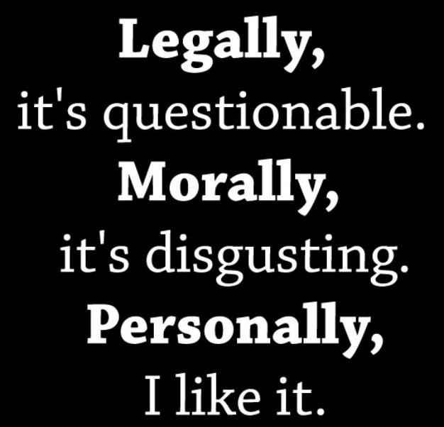 Legally- Its Questionable. Morally – Disgusting.- I Like It funny shirt, Sm – 5X
