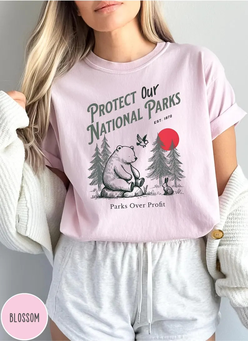 Protect Our National Parks Resist Comfort Tee Nature Outdoors Park Lover Gift