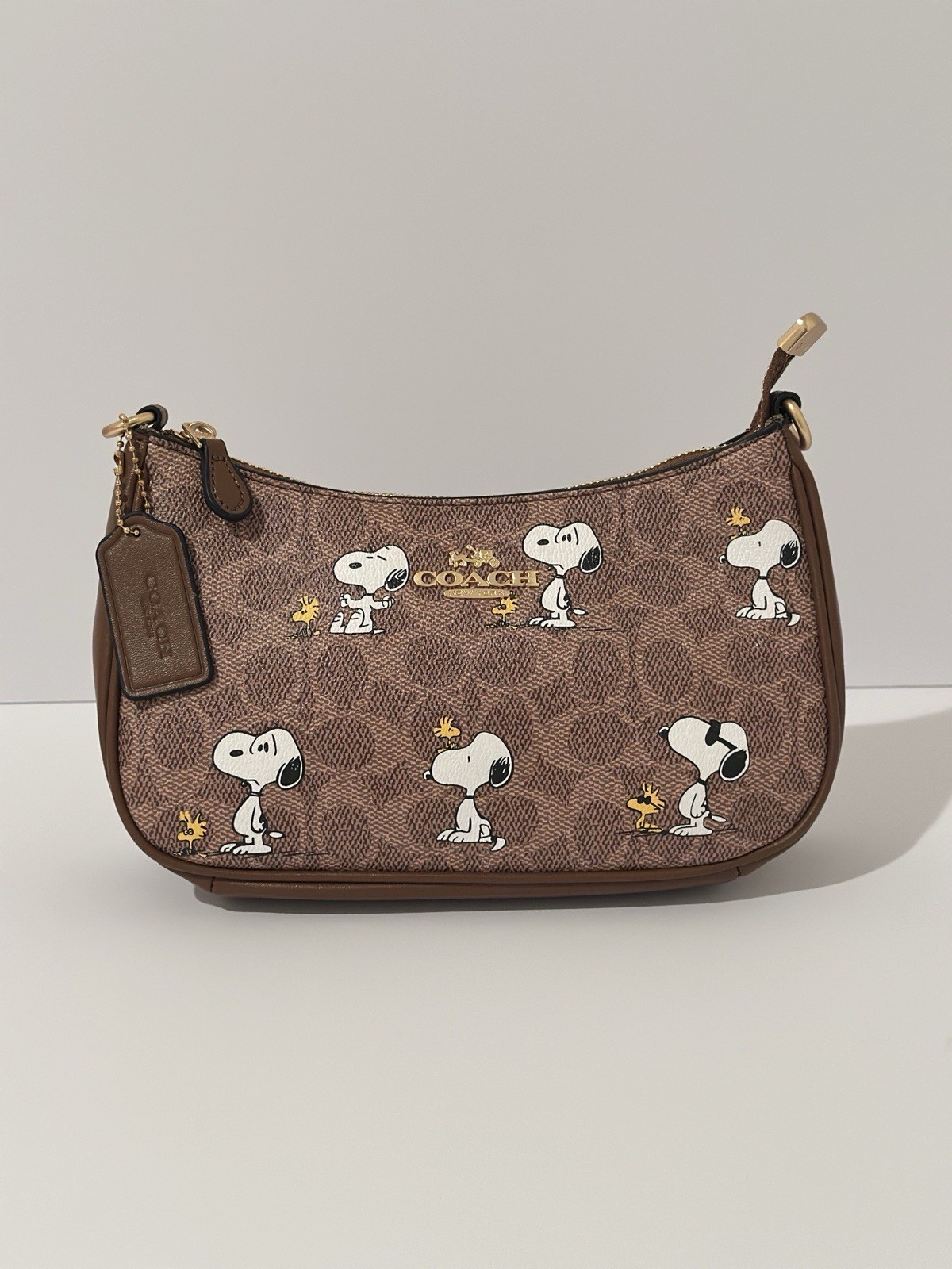 Coach x Peanuts Snoopy Teri Brown Shoulder Bag