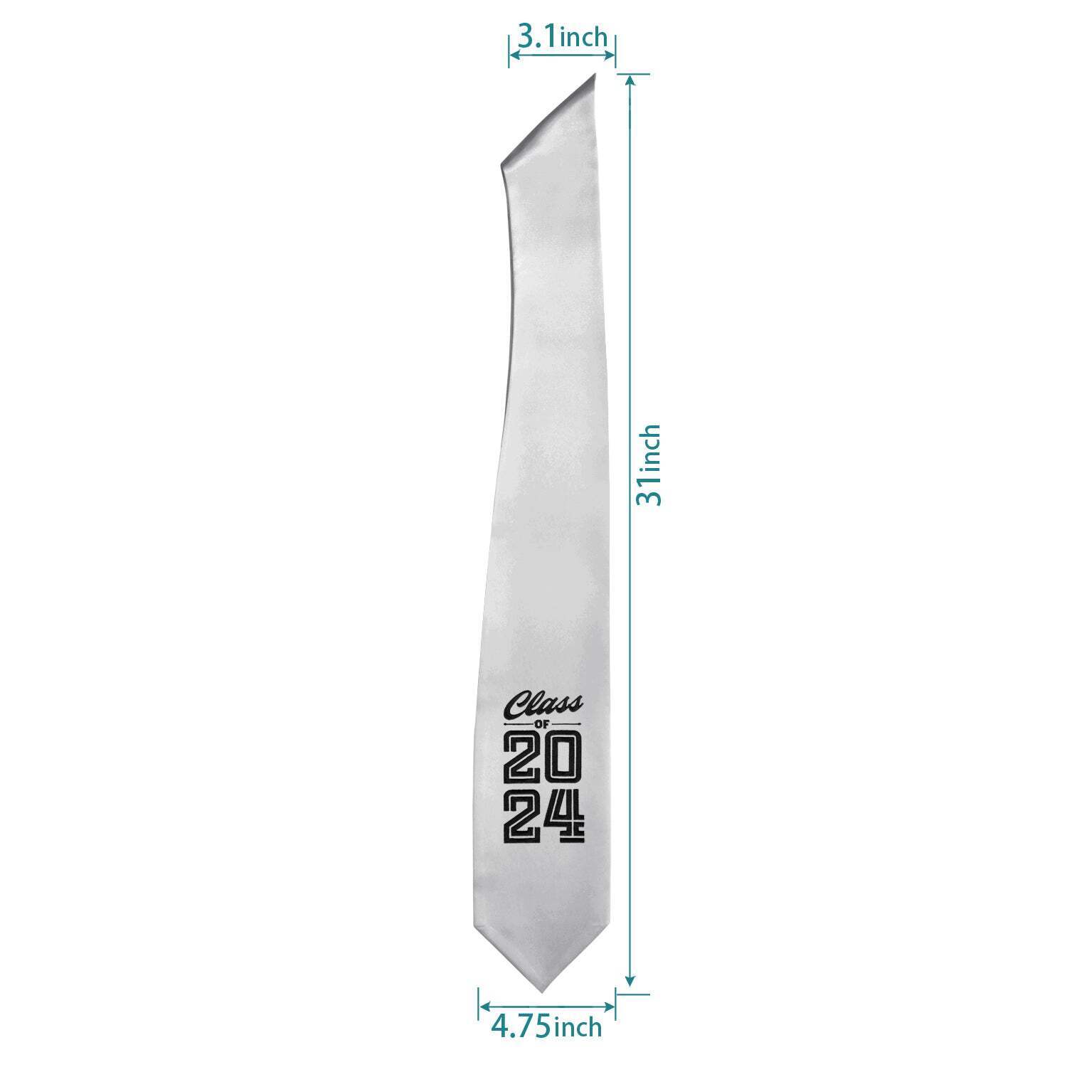 Endea Graduation Silver Class of 2024 Graduation Stole/Sash