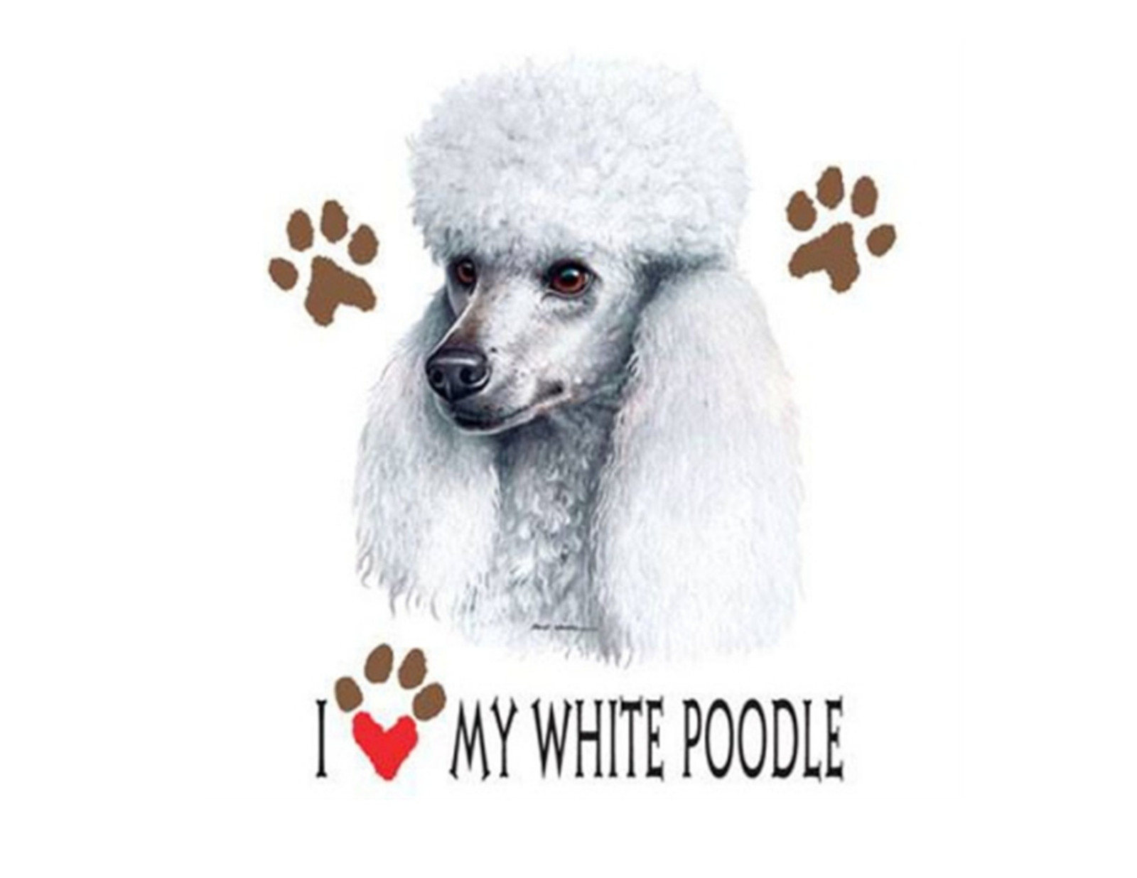 I Love My Poodle Brand New Tee White Pink Gray T’shirts