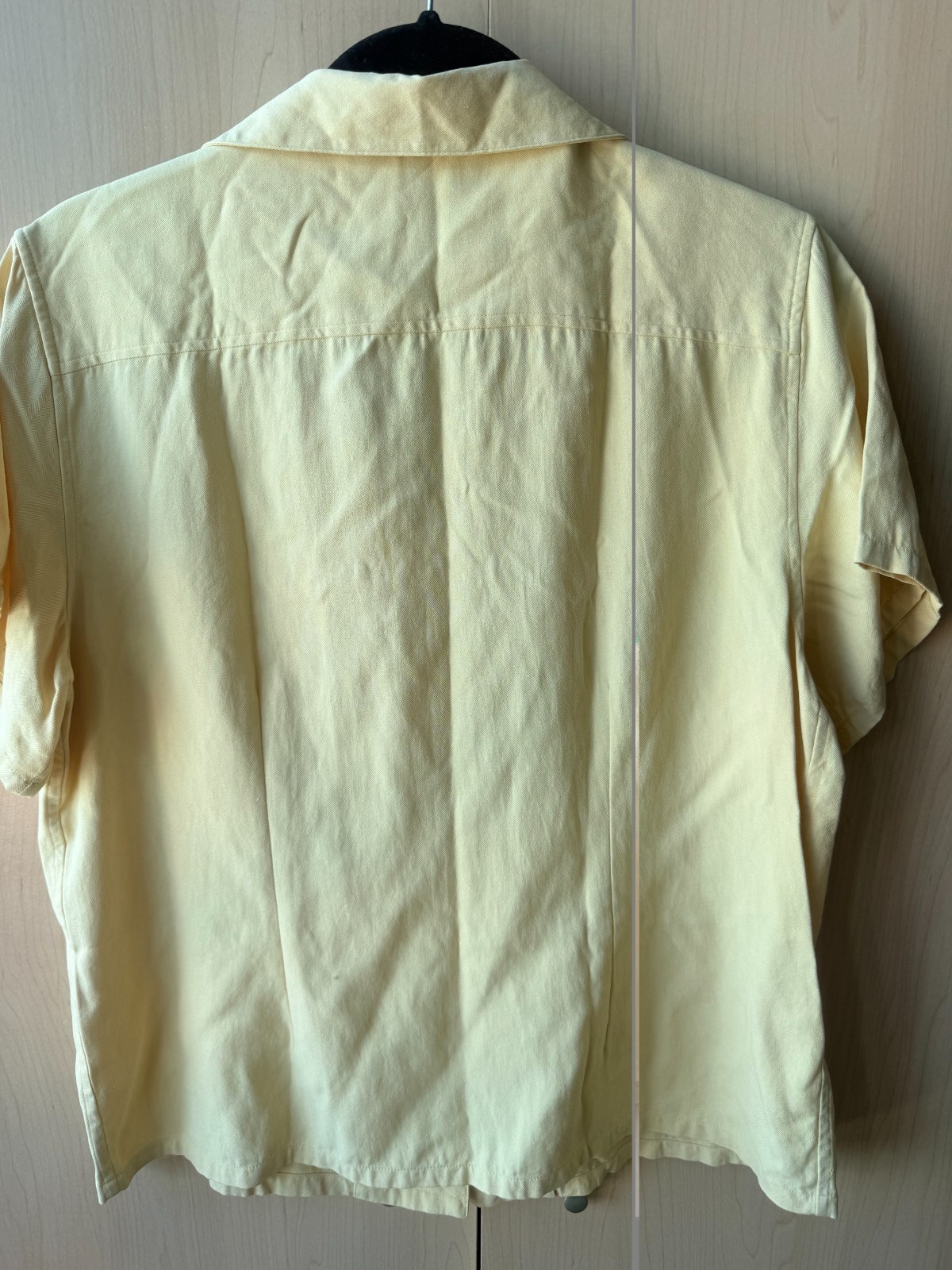 Pineapple Moon 100% Silk Button Up Shirt Womens Size Large