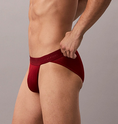 New Calvin Klein Microfibre Lace Sport Brief, Fall Berry, Extra Large