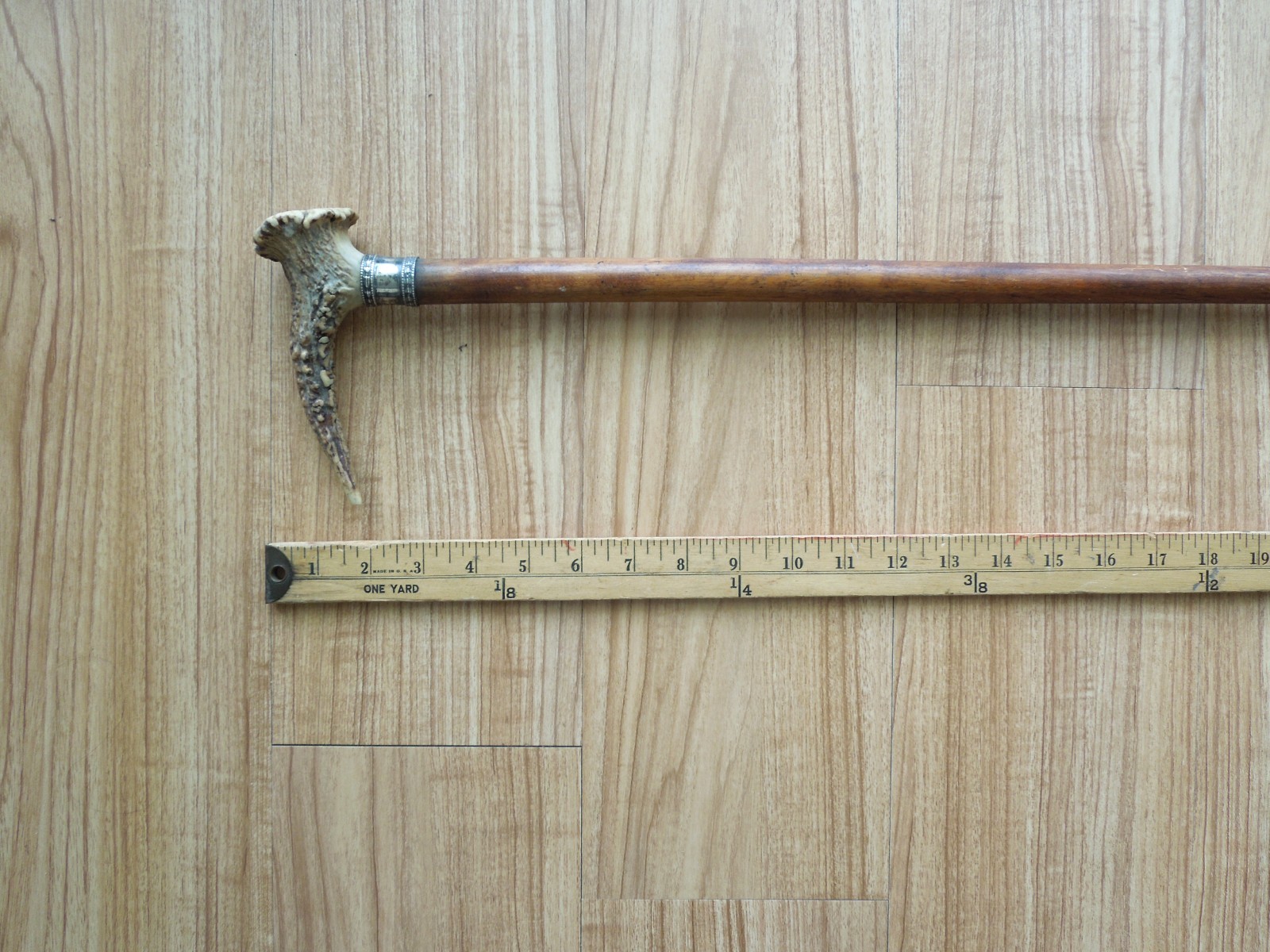 VINTAGE Antler Stag Horn Handle Cane Walking Stick Silver Collar 35″ length