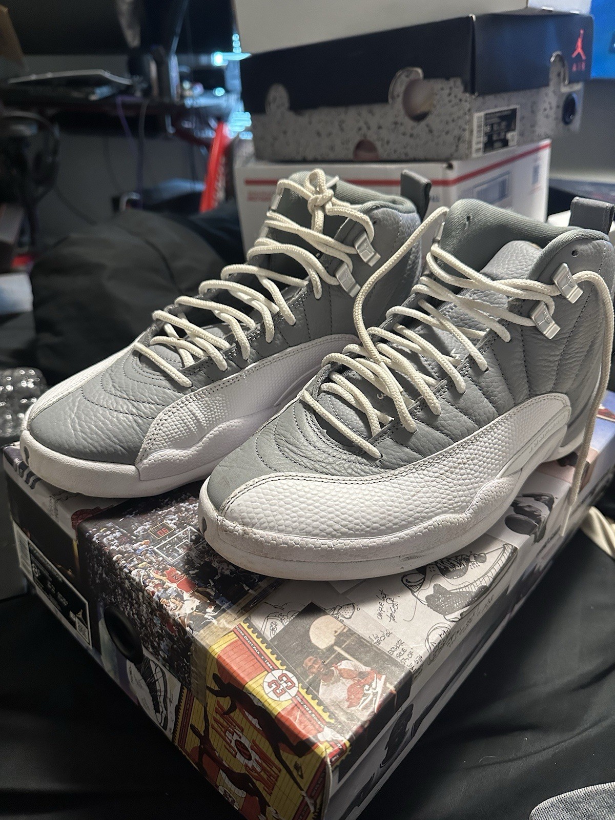 Jordan 12 Stealth Men’s