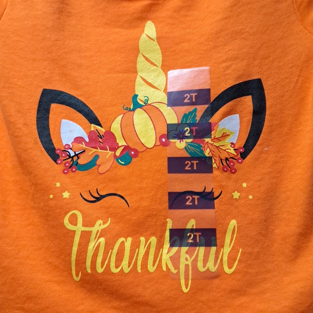 ADTN Childs 2T Orange Halloween Thanksgiving Tshirt Short Sleeve Turkey Disguise