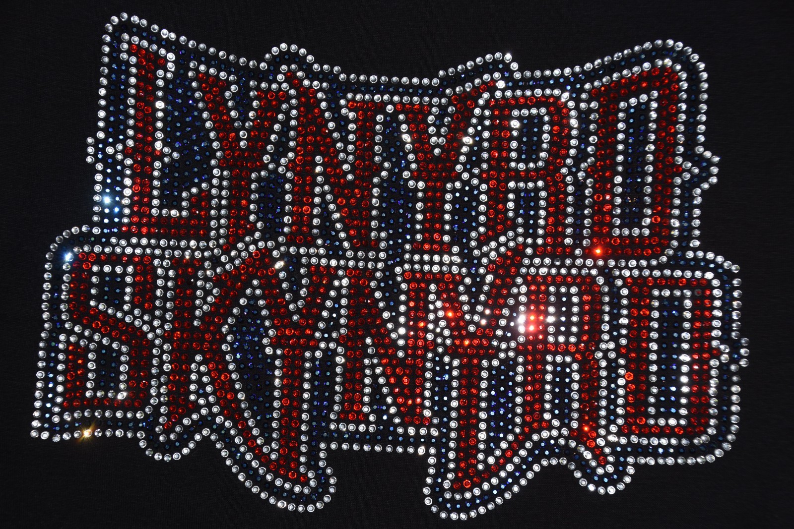 Lynyrd Skynyrd rhinestone shirt or tank XS S M L XL XXL 1X 2X 3X 4X 5X
