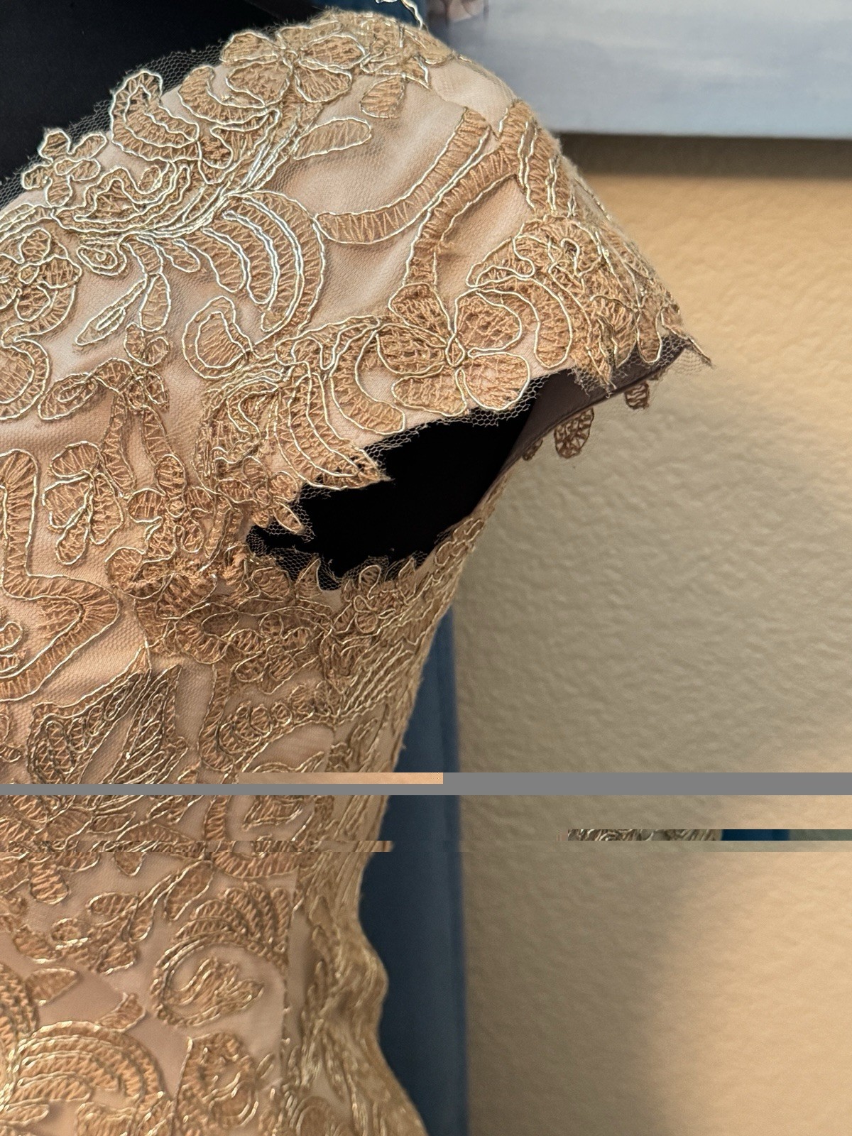 TADASHI SHOJI CORDED EMBROIDERED LACE DRESS SIZE 2