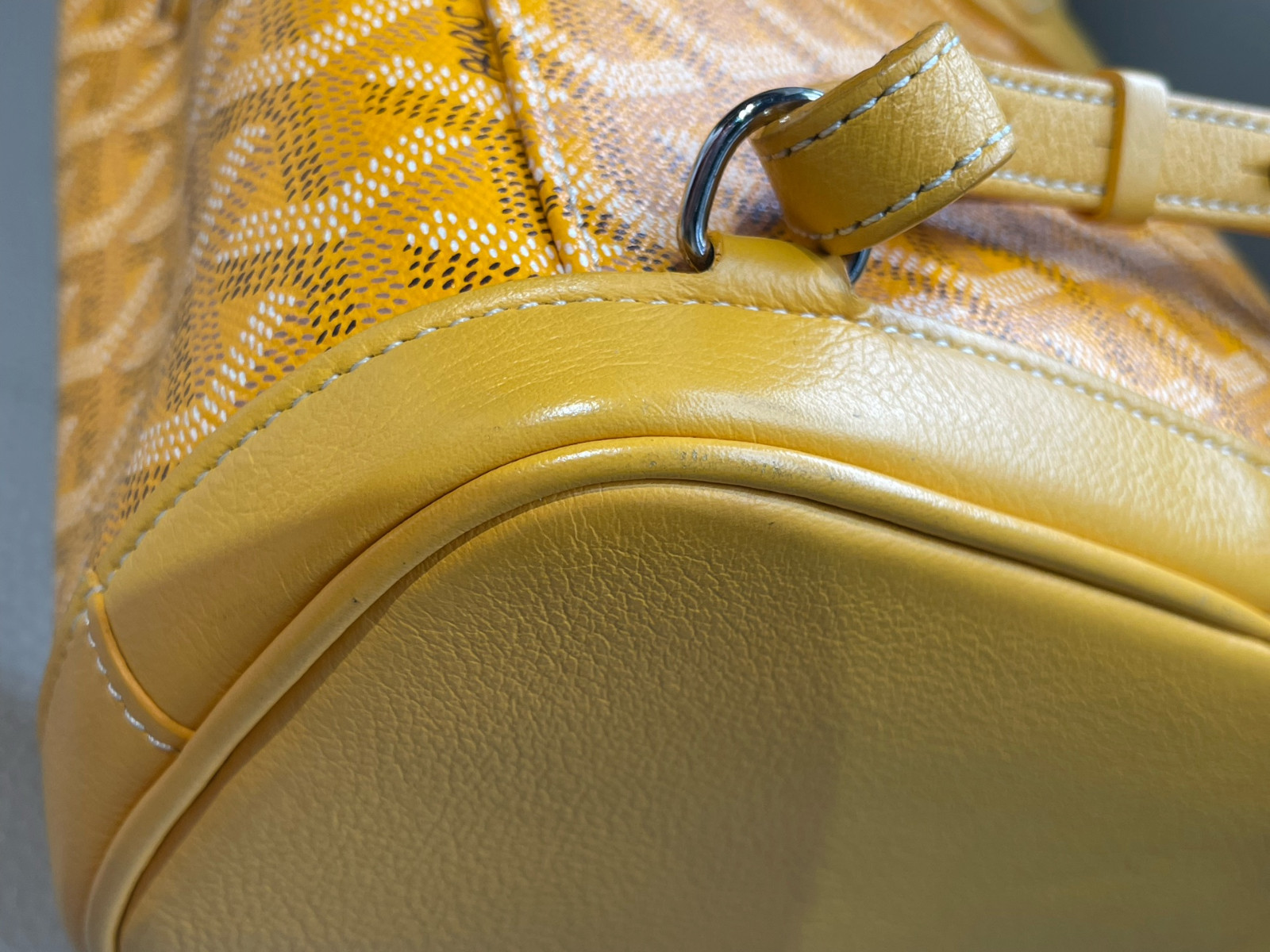 Goyard Alpin Mini Canvas Backpack（ 23×9.5×19 ）cm