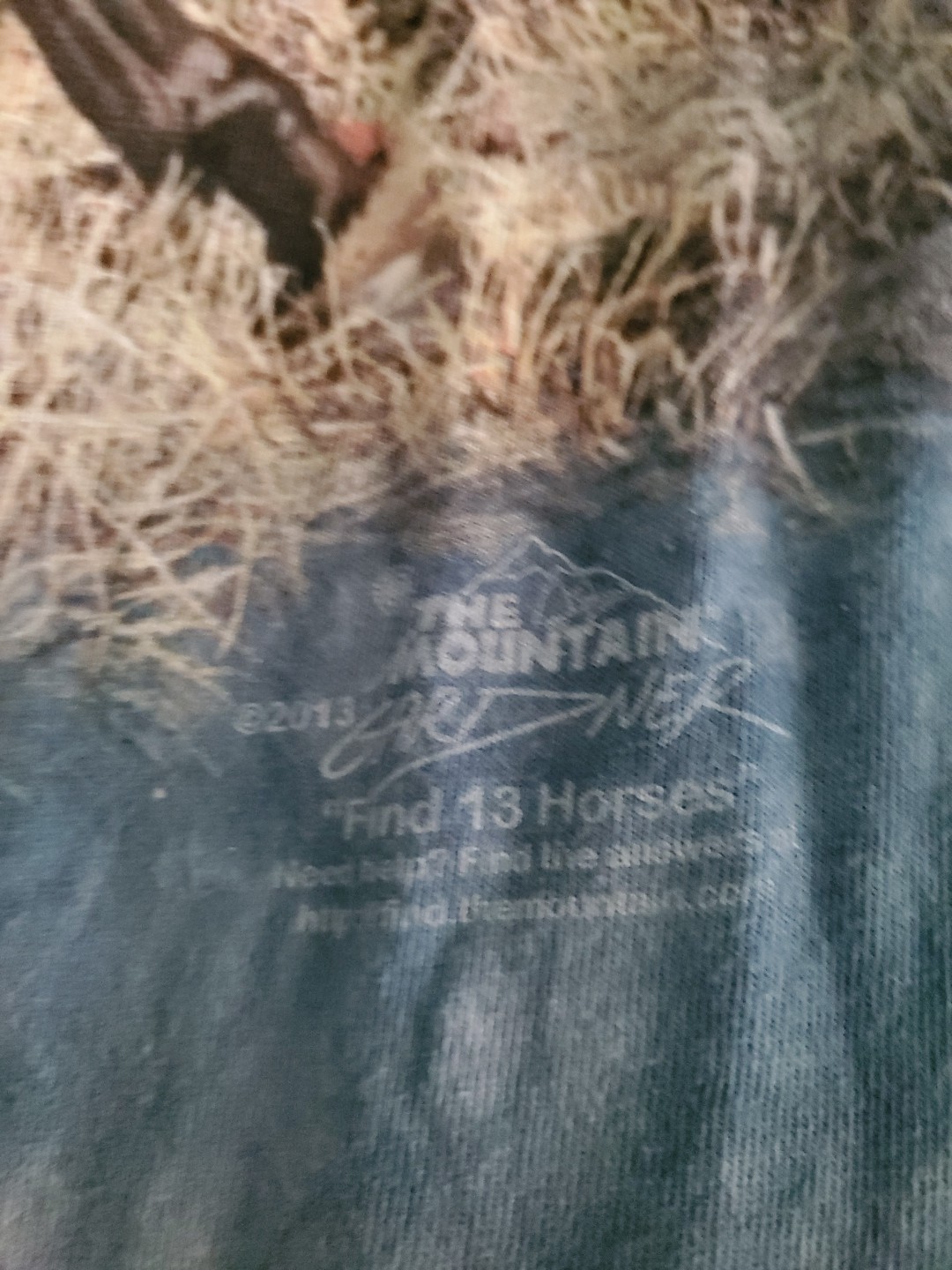 The Mountain Horse T Shirt Size Small Unisex Wild Horses 2012 “Find 15 Horses”