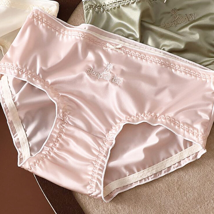 5 Pack Lot Sexy Womens Silky Satin Panties Underwear Ladies Lingeries Briefs