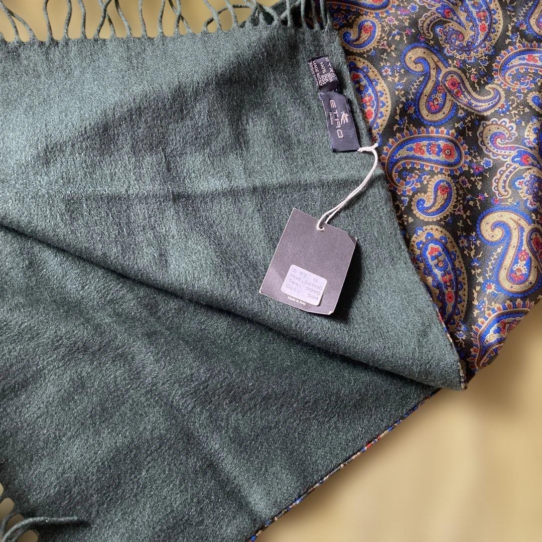 Etro Reversible Cashmere Silk Scarf 12.6×50.4in Unisex Mos Green