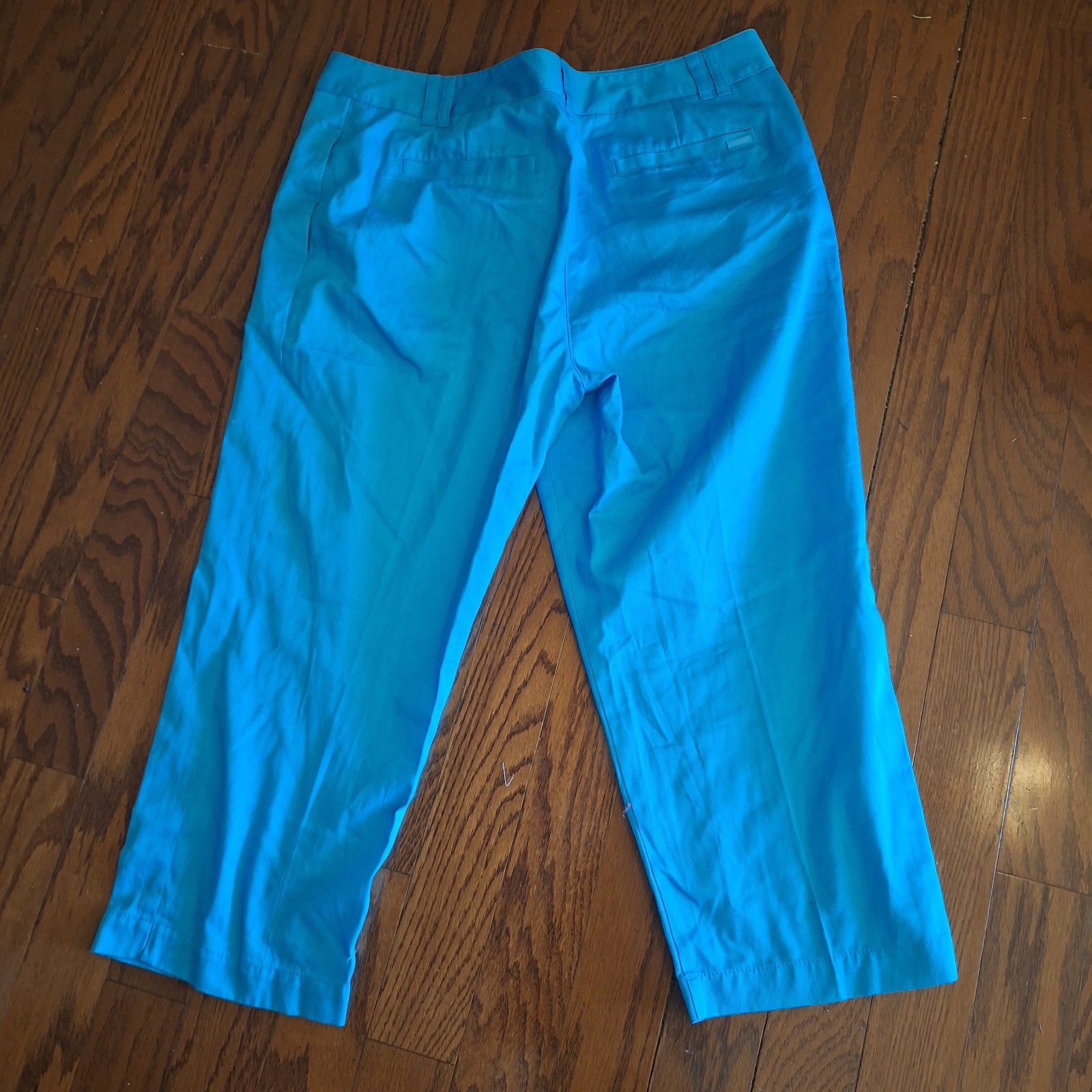 Light Blue Cropped Pants by St. Aumont Size 16 NWOT