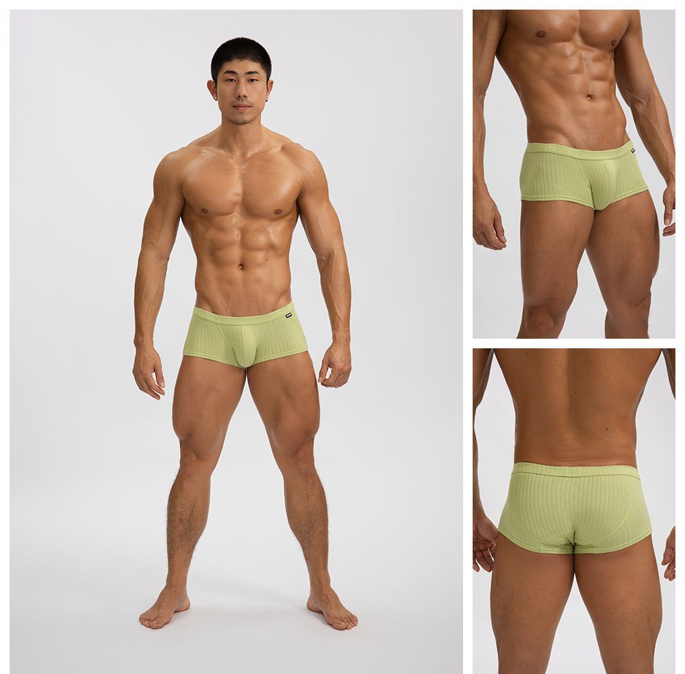4 PCS Men’s Sexy Underwear Low waist Briefs U Pouch Striped Shorts Underpants US