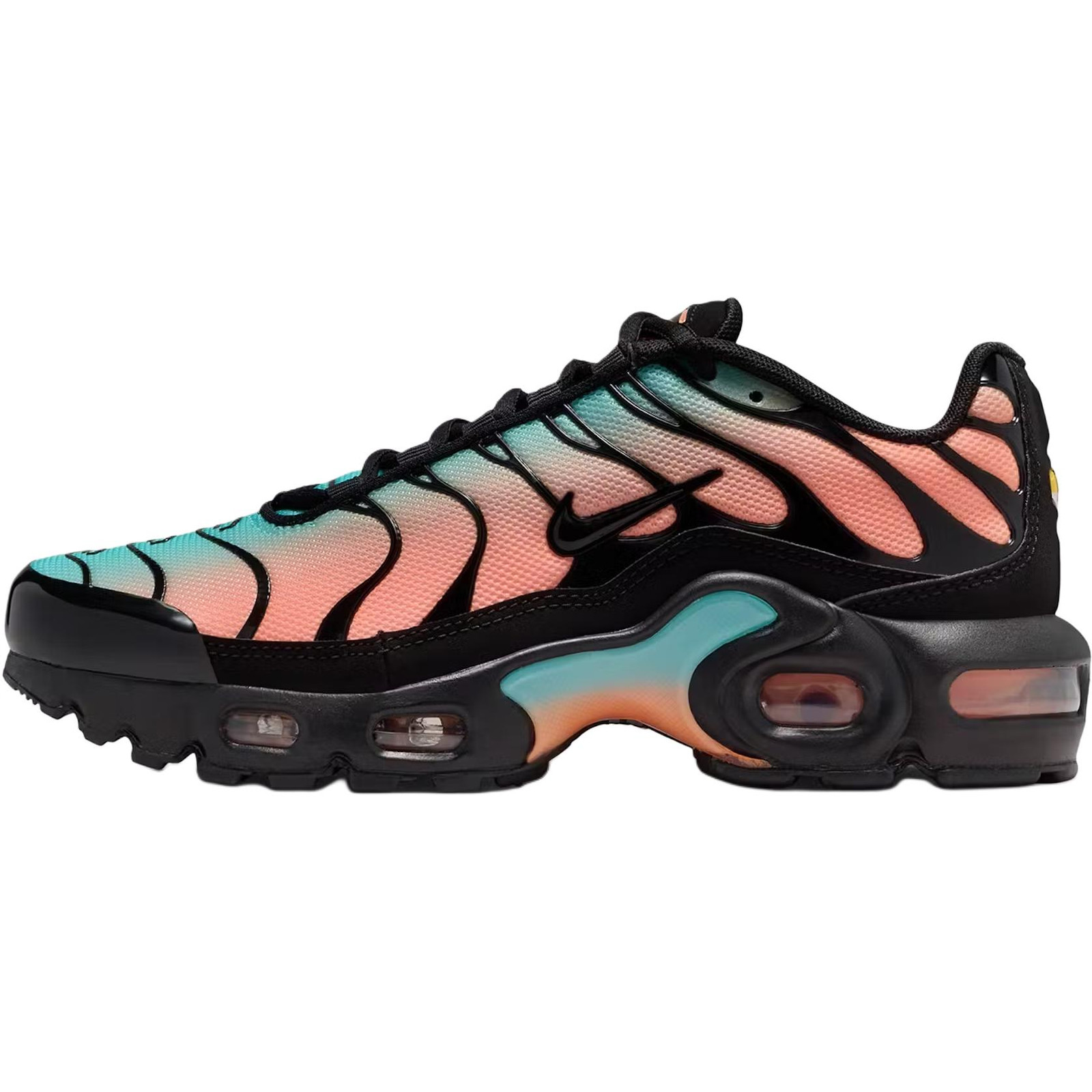 Nike Air Max Plus Abrasion Resistant Low Top Kids’ CD0609-037