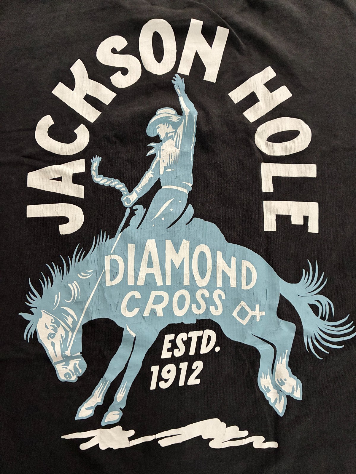 Diamond Cross Ranch Maverick T-Shirt Mens Medium Sun Faded Black Graphic Tee