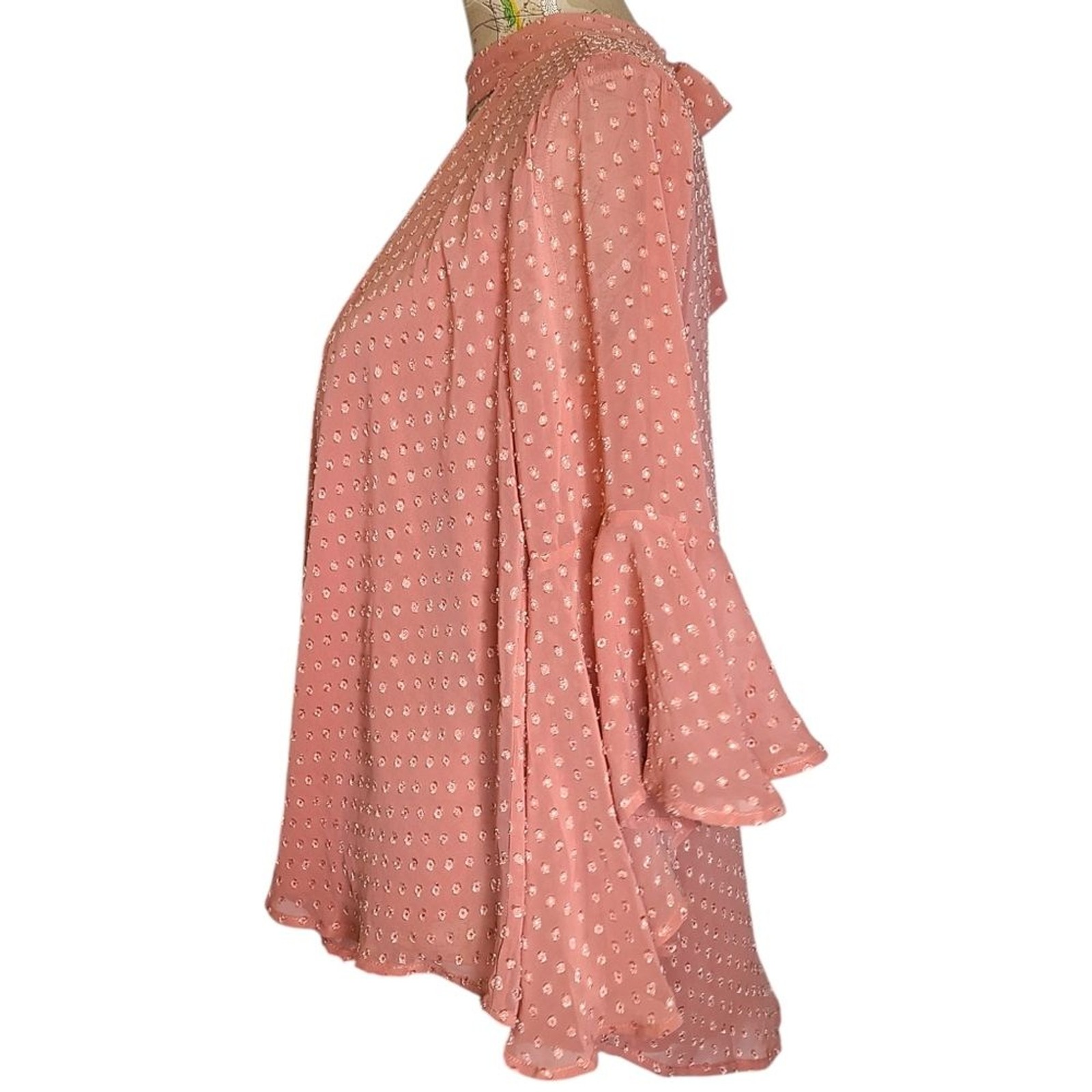 NWT Band of the Free Size Small Powder Pink Flowy Bohemian Ruffled Sleeve Blouse