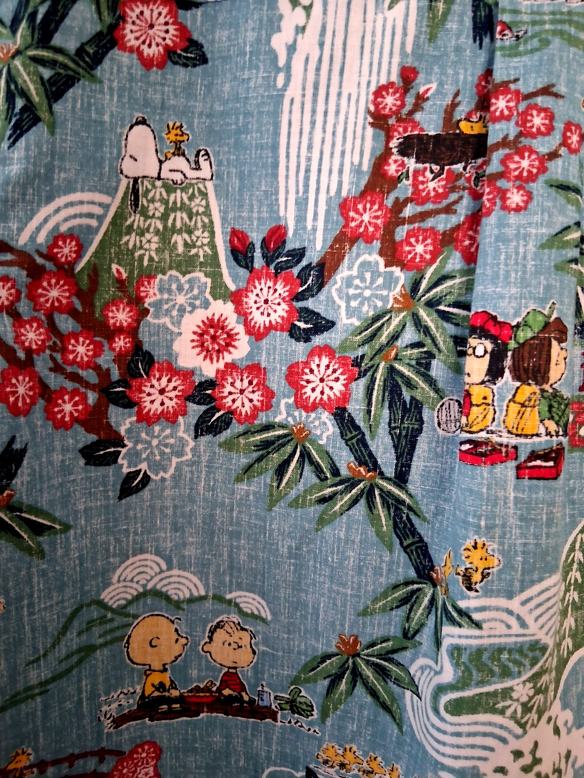 Reyn Spooner Boy’s “PEANUTS IN JAPAN” NWT Aqua Button Front Shirt Sizes