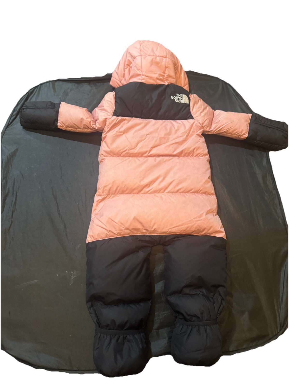 The North Face Baby 1996 Retro Nuptse One-piece Infant Shady Rose 12m – 18m NEW