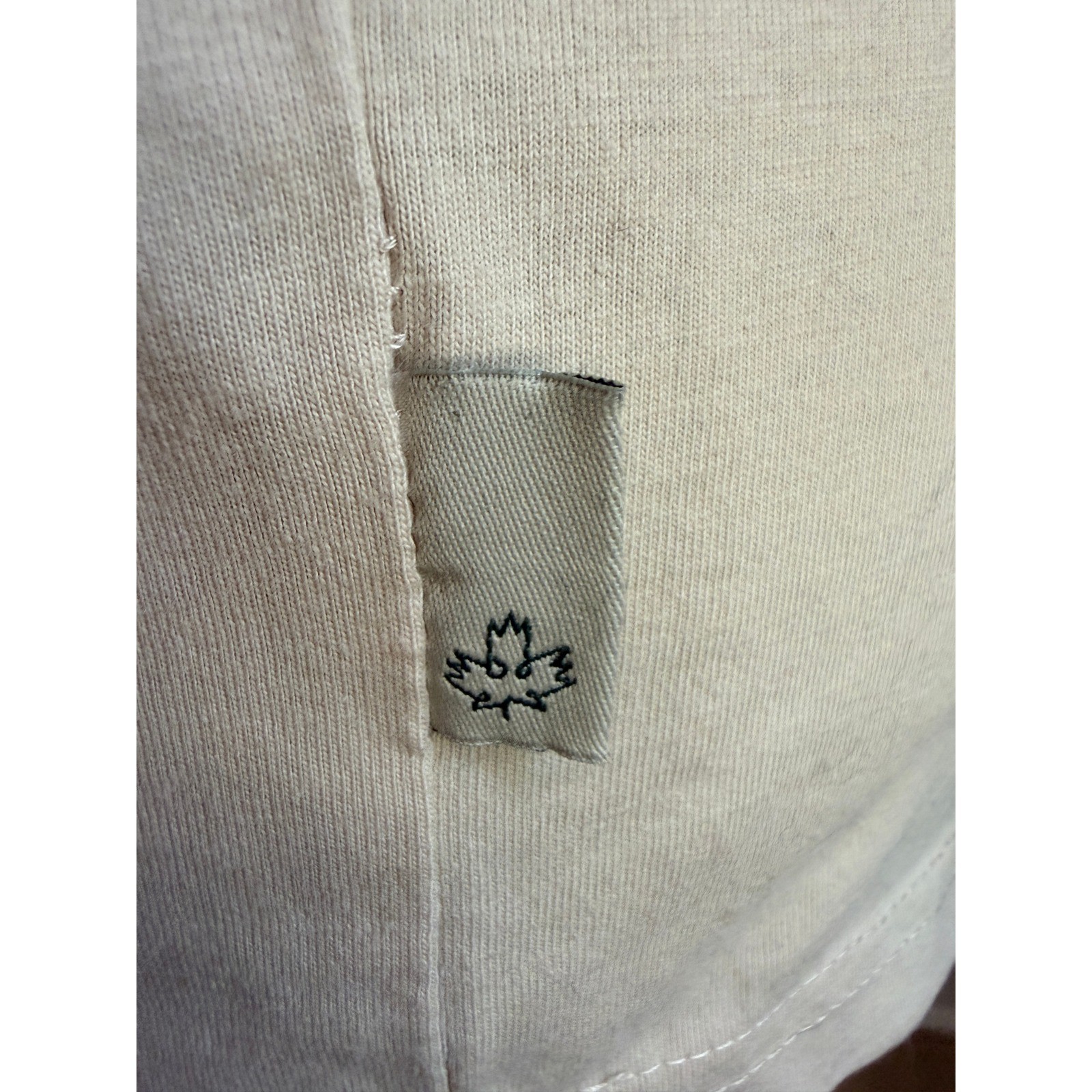 Banff National Park Graphic Tee Cream Green ringer sleeves