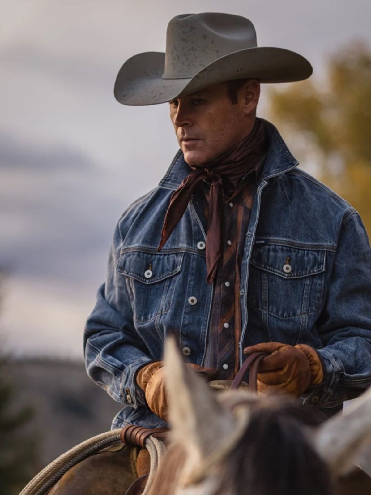 Resistol Tarrant 20X Felt Cowboy Hat 54/6.75