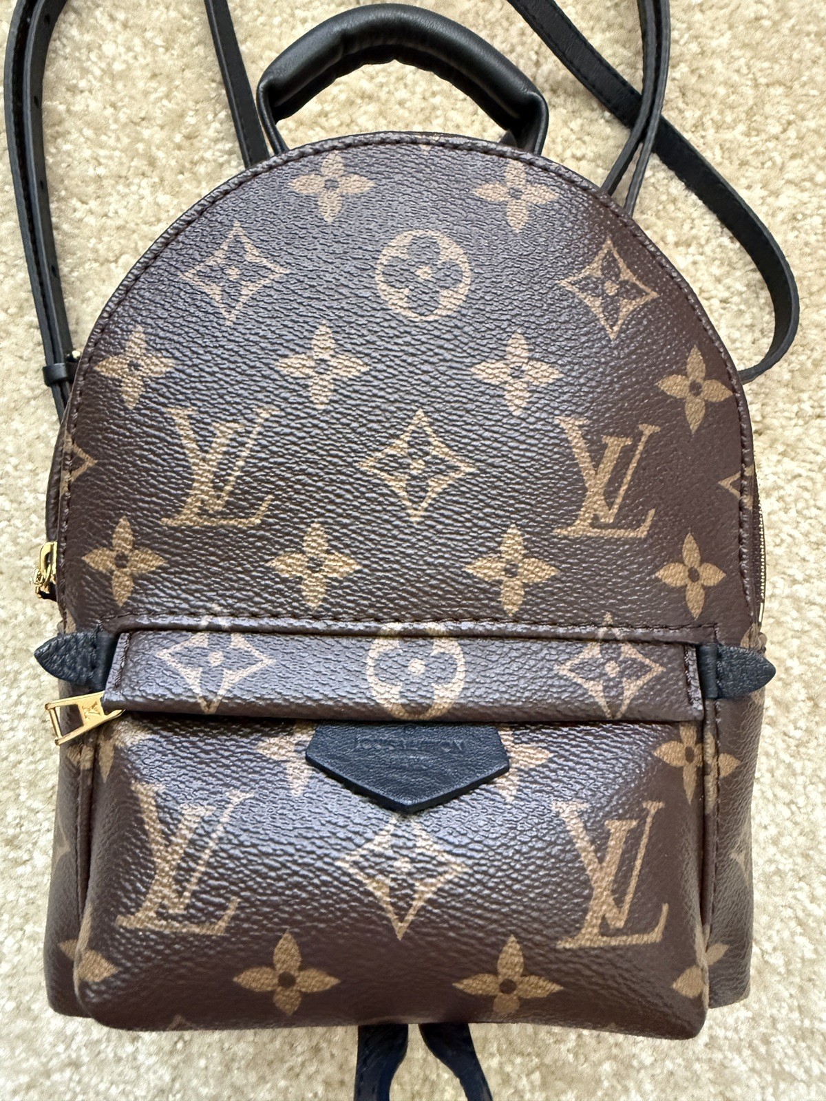 Louis Vuitton Palm Springs Backpack Mini Brown Canvas Monogram