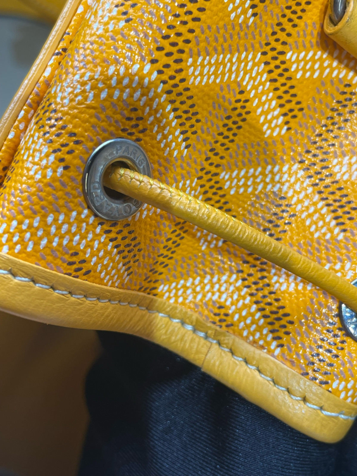 Goyard Alpin Mini Canvas Backpack（ 23×9.5×19 ）cm