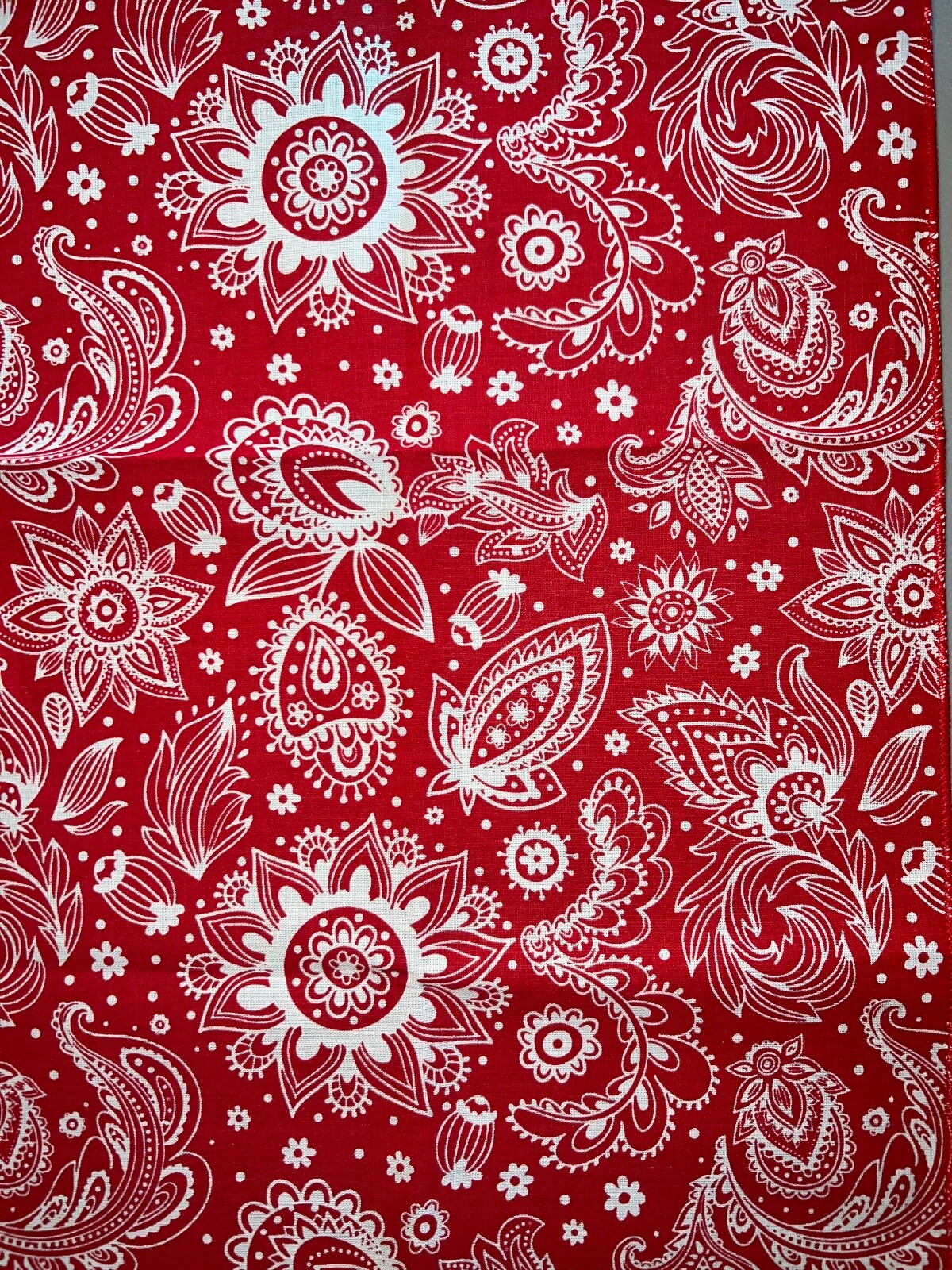 Prim Red Paisley Bandanna Made in USA