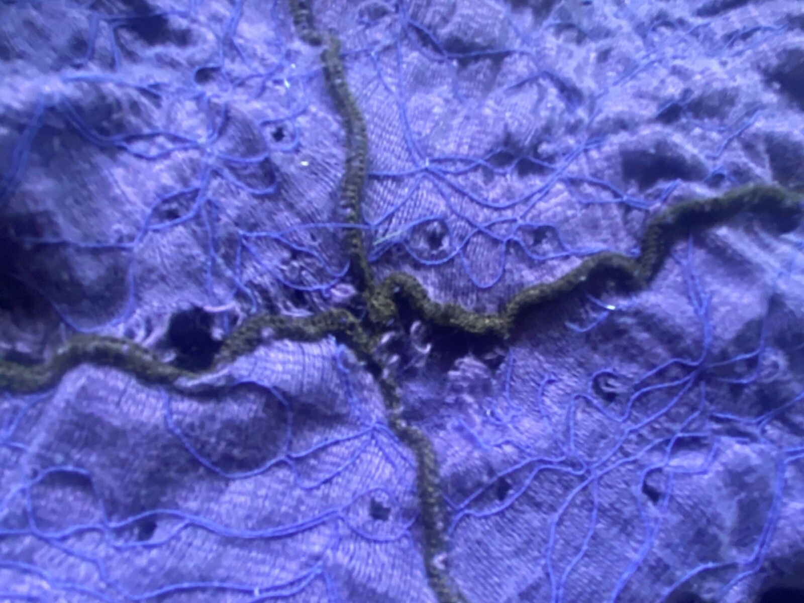NOBLU / BREAKFAST IN TOKYO Lagenlook Purple Crinkle Gauze Cotton Pants w Mesh M