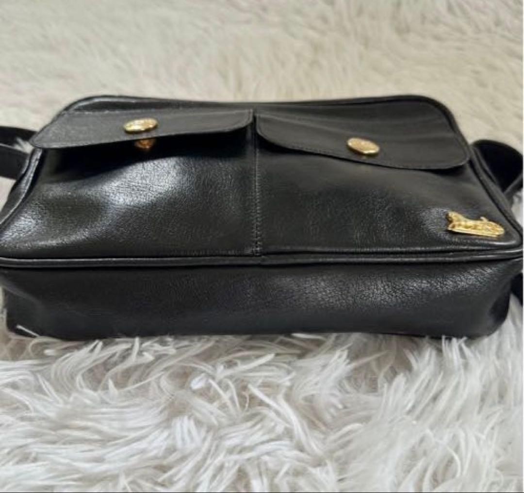 CELINE Leather Camera Shoulder Black Horse Carriage Hardware Used From Japan